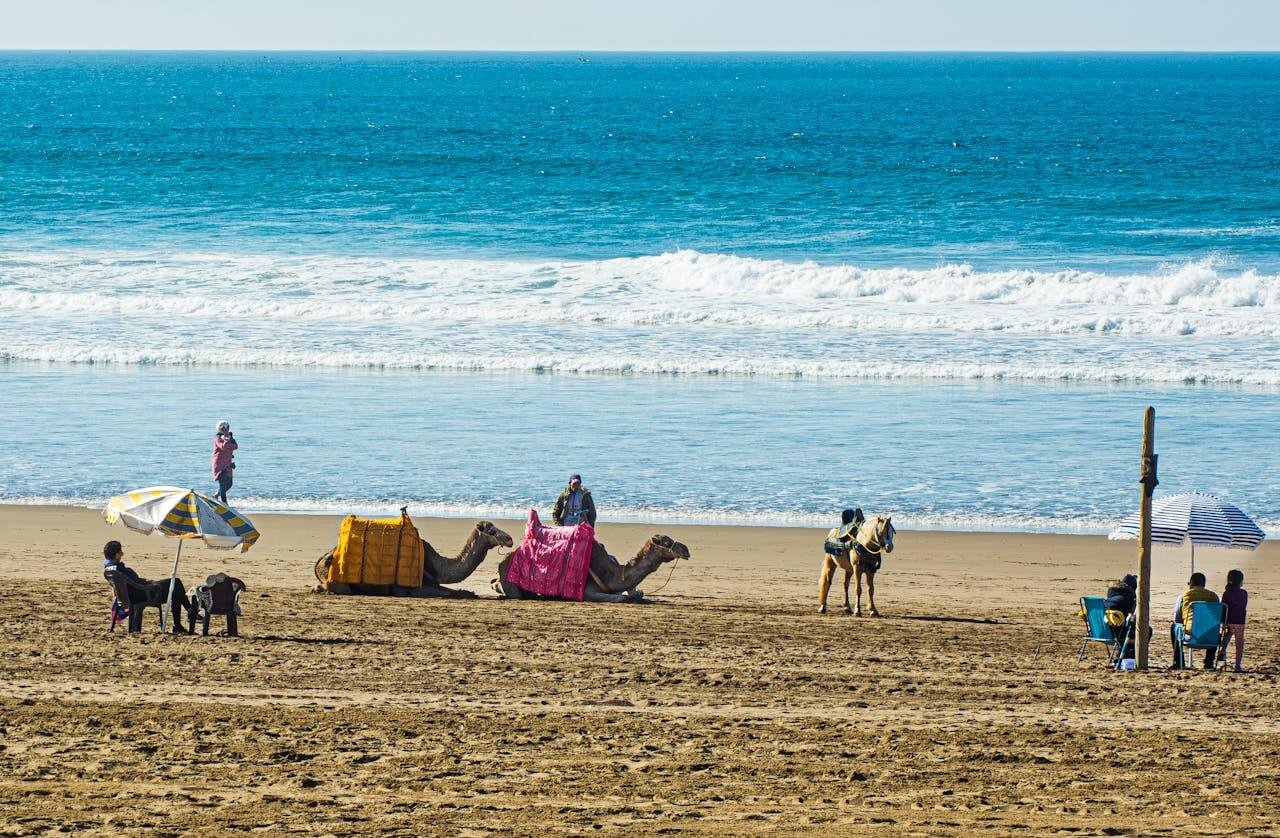 Discover the Beauty of Agadir, Morocco
